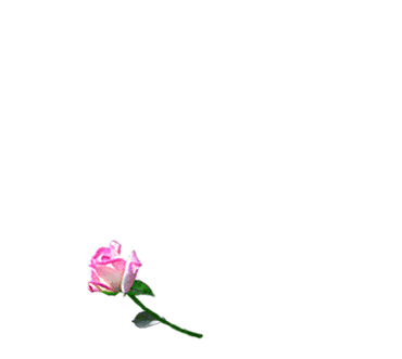 ch&egrave;rie je t'aime trooooooooooooooooo