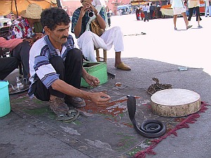 tjrs a marrakech &agrave; Jemaa El Fna