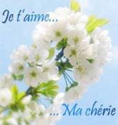 ch&egrave;rie je t'aime trooooooooooooo