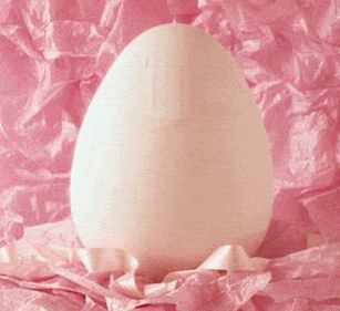 bienvenu chez mon blog