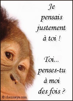 pense tu a moi defois?