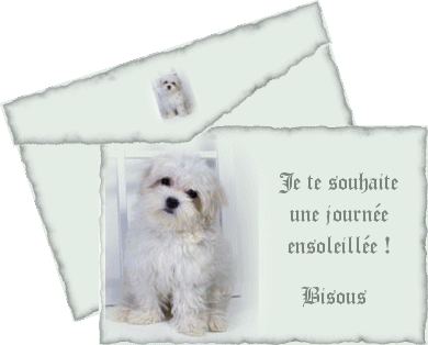 a tous les amis qui viens voir mon blog surtt a ma femme
