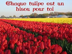 et un gros bizouuuuuuuuuuuuuuuuuuuuxxxxxxxxxxxxx pour toi ma femme