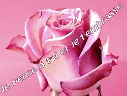 je pense tro fort a toi ma femme